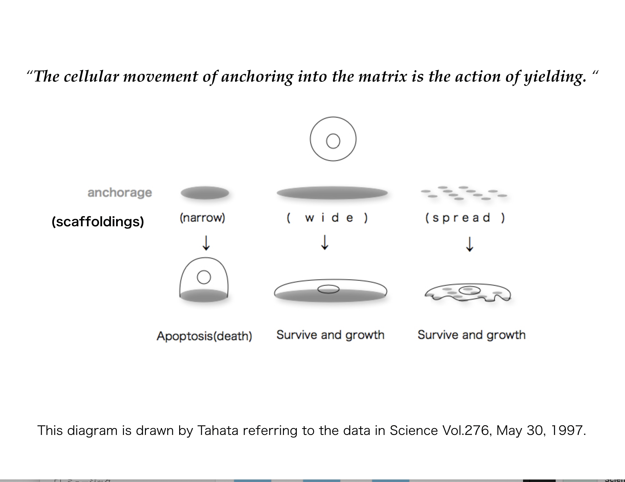 イールドワーク イールドワーク
